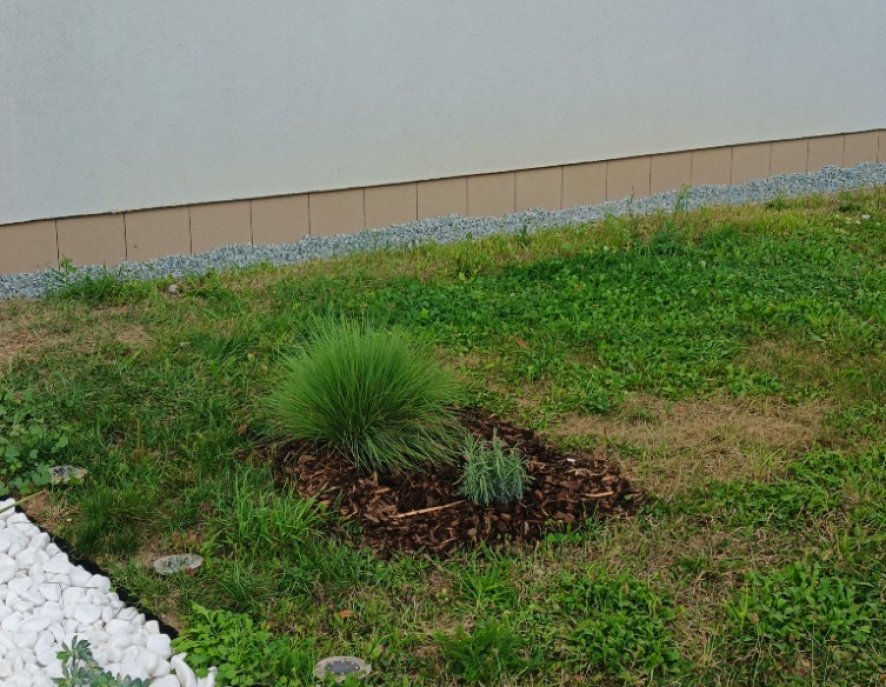 Okolí vchodu zeleň